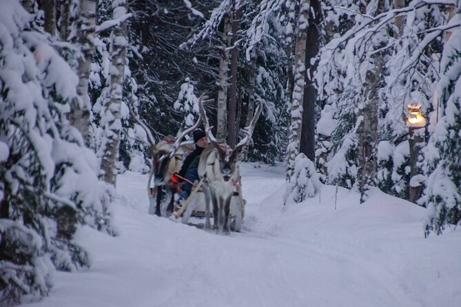 Authentic Reindeer Farm Experience in Rovaniemi - Tea, biscuits, and a traditional hut