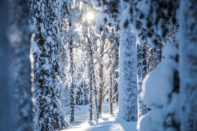 Backcountry skiing adventure - Who will enjoy this outing most