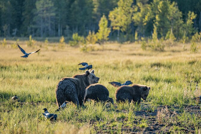 Bear and Arctic Animals 2 Day Trip from Rovaniemi - Lunch by an open fire