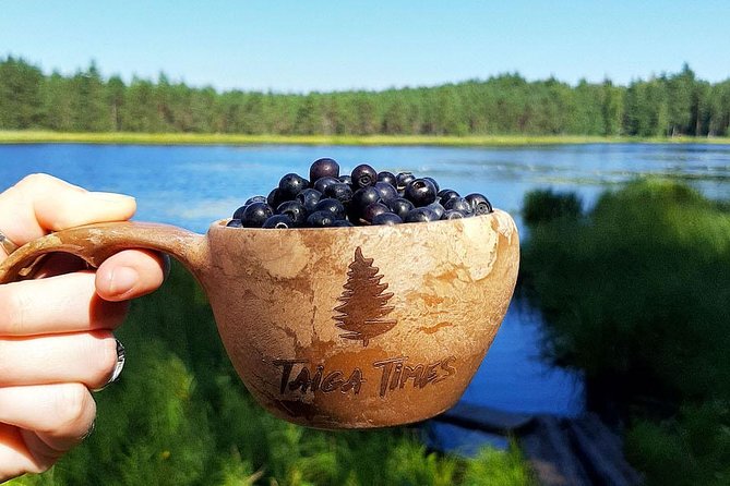 Berry Picking in a National Park - From Kiasma to the Finnish forest