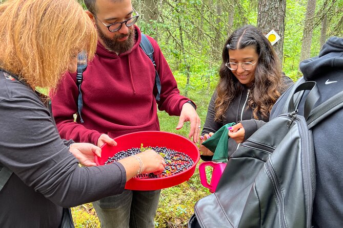 Berry Picking in a National Park - The walk back through Liesjärvi