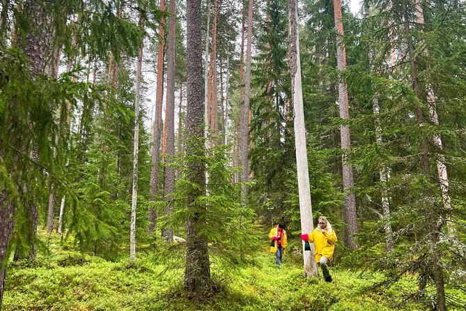 Berry Picking in a National Park - Practical details before you book