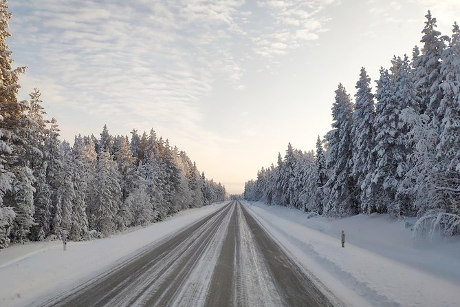 Best Of Lapland: Sauna, Ice swimming, Dinner & Northern Lights - Dinner beside the fire