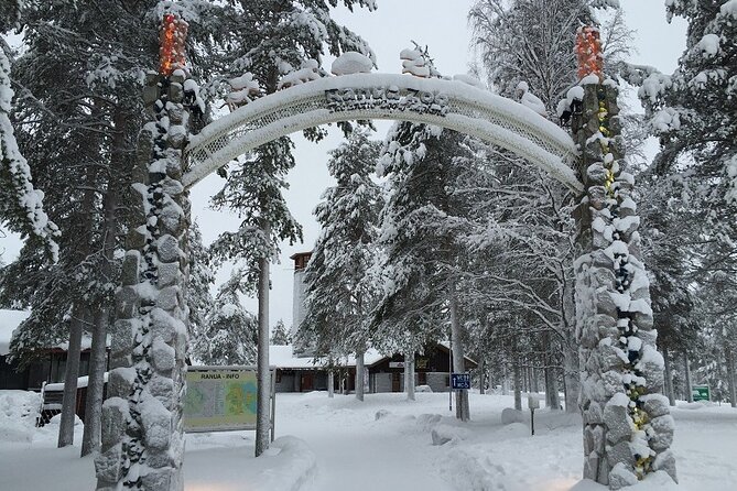 Bus to Ranua Zoo from Rovaniemi - Wildlife in winter, with some seasonal limits
