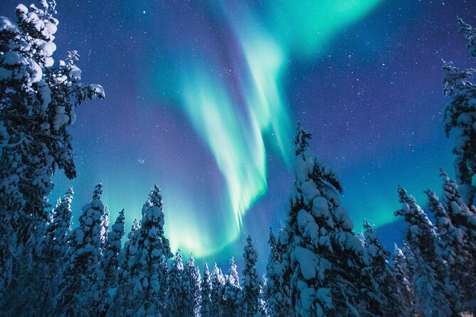 Bus Tour with Hunting Northern Lights - Why the route changes during the evening