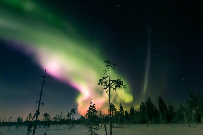 Capturing Auroras in Pyhä - Tajukangas: a nearby place to learn under the sky