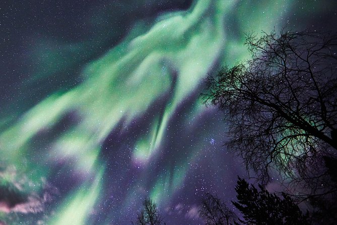 Capturing Auroras in Pyhä - Hot berry drinks and the small comforts