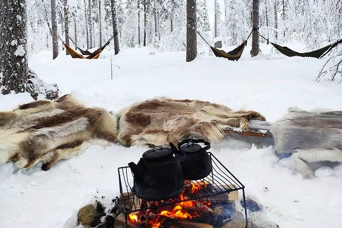 Cocooning in the HaliPuu forest: The ultimate Arctic hammock relaxation - Key Details Before You Book