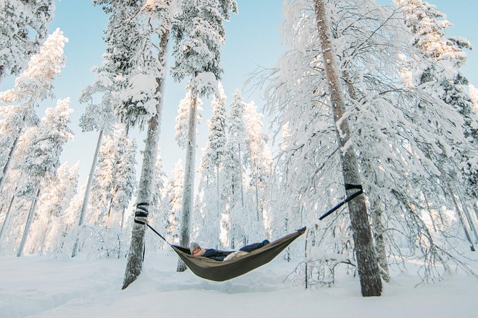 Cocooning in the HaliPuu forest: The ultimate Arctic hammock relaxation - Why the HaliPuu Pines Matter
