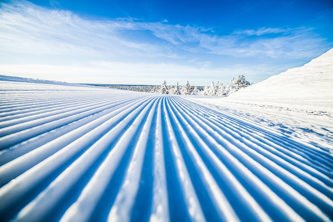 Cross-Country Skiing Trip - Learning the Finnish way to ski