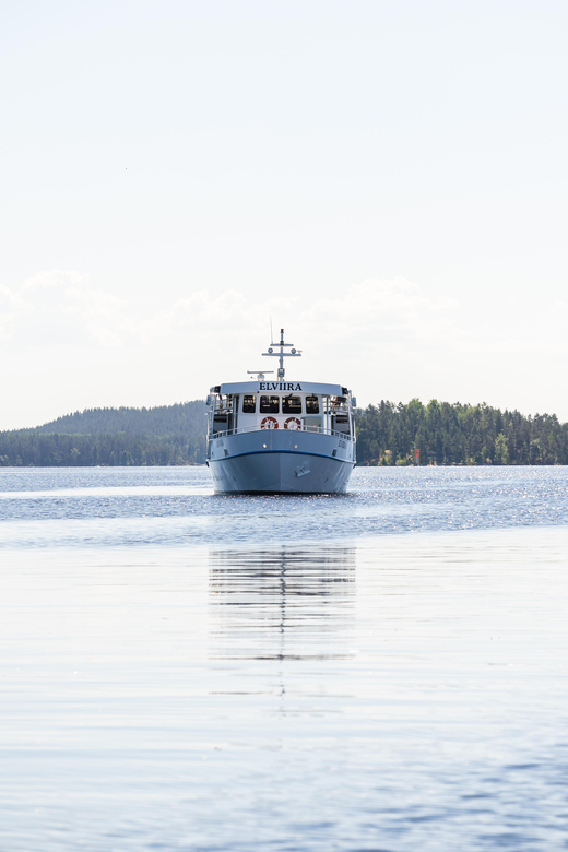 Cruise around Savonlinna archipelago - Wildlife and the chance of a Saimaa ringed seal
