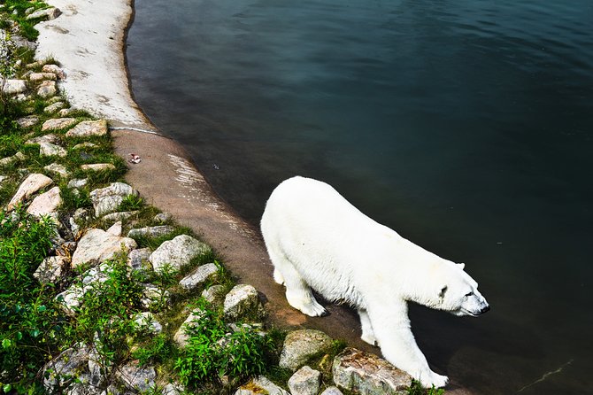 Day Trip to Ranua Arctic Wildlife Park from Rovaniemi - Who will enjoy this outing most?