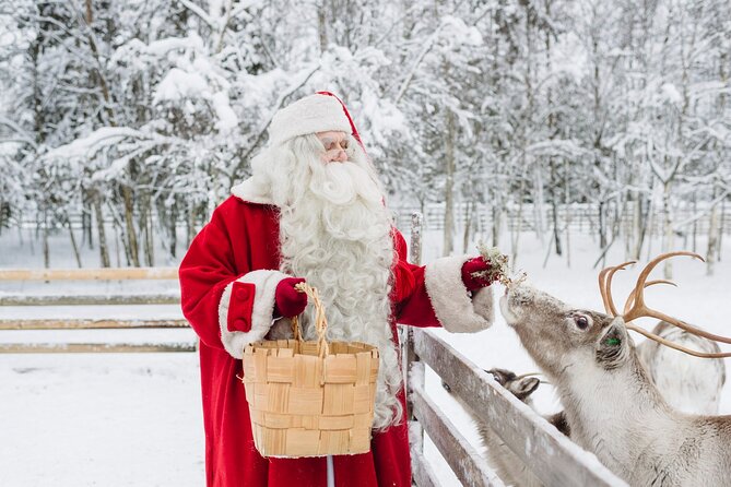 Daytour to Santa Claus Village, Reindeer and Husky Safaris, Photo, and Lunch - Reindeer safari: gentle, short, and family-friendly