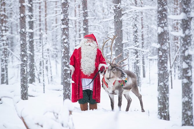 Daytour to Santa Claus Village, Reindeer and Husky Safaris, Photo, and Lunch - Husky safari: faster, louder, and still brief