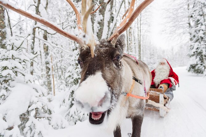 Daytour to Santa Claus Village, Reindeer and Husky Safaris, Photo, and Lunch - Meeting Santa at the Santa Claus Office
