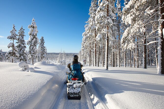 Easy Snowmobile Safari - Learning the snowmobile controls