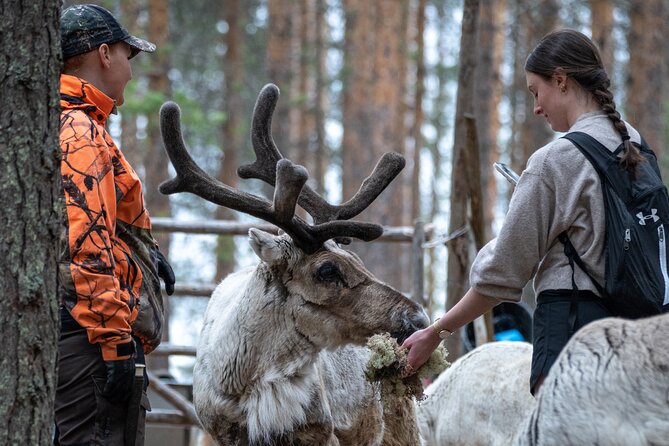 Electric Fatbike Trip to the Reindeer Farm - Why this short tour works so well in Rovaniemi