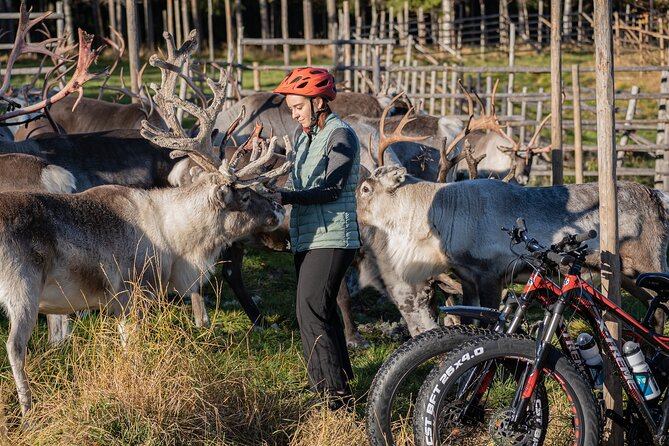 Electric Fatbike Trip to the Reindeer Farm - The 45-minute ride through Lapland forest