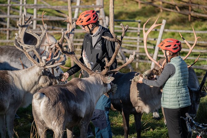 Electric Fatbike Trip to the Reindeer Farm - The return ride uses a different route
