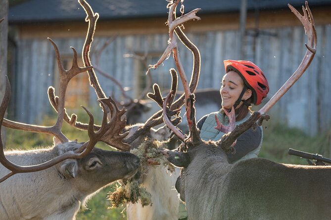 Electric Fatbike Trip to the Reindeer Farm - Meeting at Nordic Odyssey at 8:30 a.m.