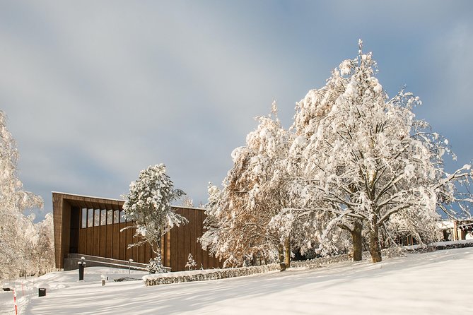 Entry Ticket to Amazing Serlachius in Tampere Region - Price and overall value at $19.22