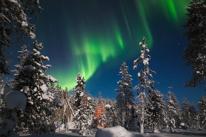 Evening Escape - Snowmobile safari and campfire in Rovaniemi - Is $183.62 a fair price?