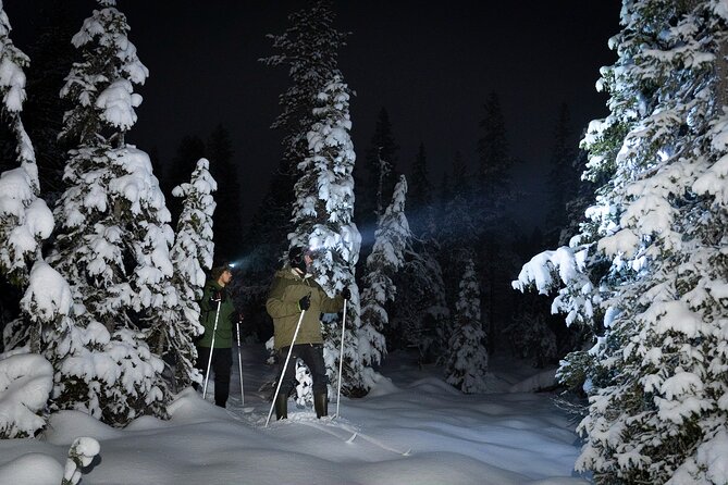 Evening Ski Trek to the Wilderness - Extra Small group - Key points before you book