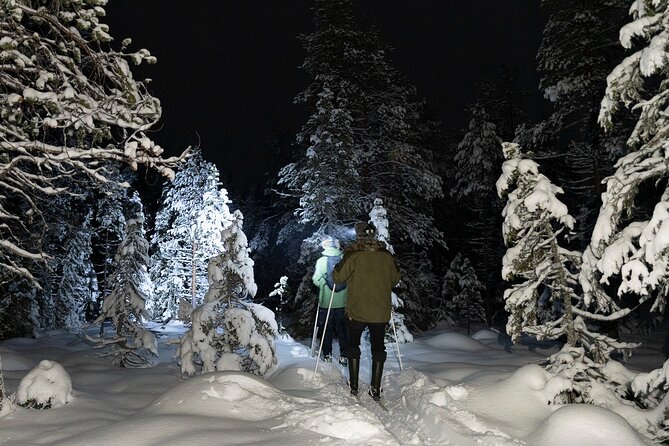 Evening Ski Trek to the Wilderness - Extra Small group - Learning the skis before the woods