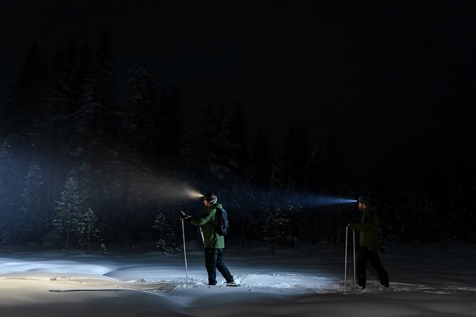 Evening Ski Trek to the Wilderness - Extra Small group - What the guide adds to the evening