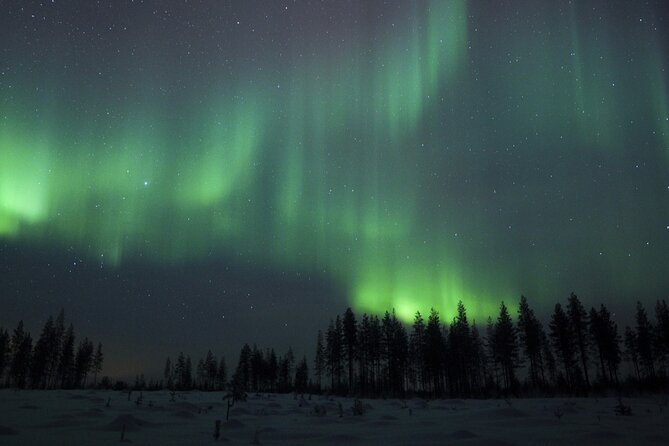 Evening Ski Trek to the Wilderness - Extra Small group - Three hours through snowy forest and frozen swamps