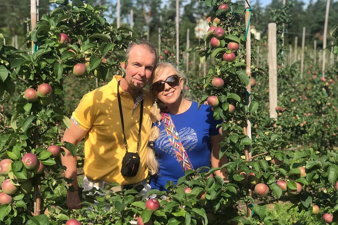 Experience the Best of Åland with a Private Guided Tour - Why a private Åland tour makes sense