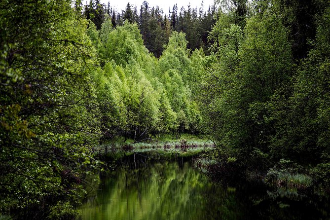 Explore the Wilderness (Summer & Autumn) - Key Points to Know Before You Book