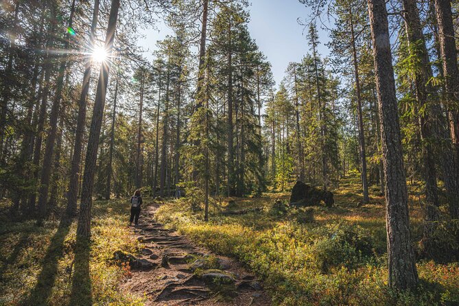 Explore the Wilderness (Summer & Autumn) - Beyond the Tower: Finding Remote Photo Locations