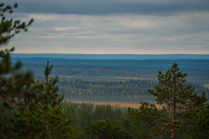 Explore the Wilderness (Summer & Autumn) - Vikaköngäs and the Rocky Forest Walk