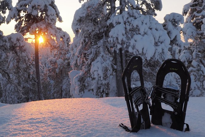 Explore Winter Woods: Snowshoe walk with local Biologist - Key Points Before You Book