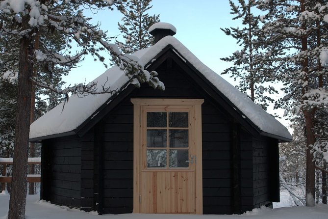 Explore Winter Woods: Snowshoe walk with local Biologist - Why This Snowshoe Walk Feels Different