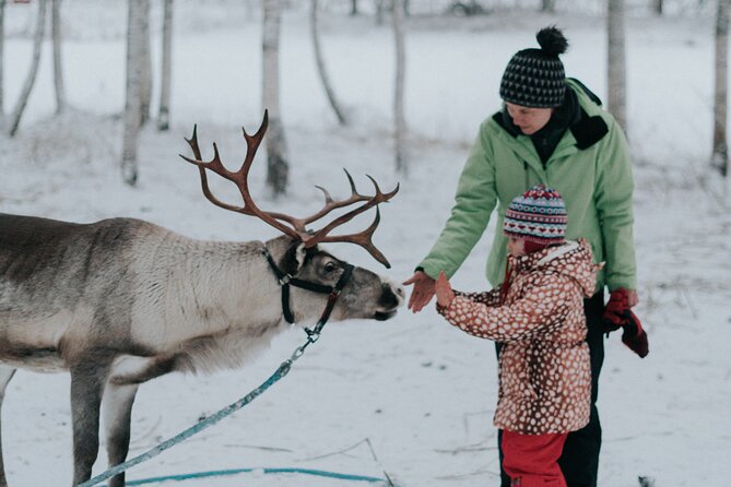Family day: Reindeer, Husky and Snowmobiling in Levi - What makes this Levi family day worth considering