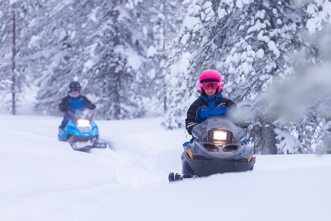 Family day: Reindeer, Husky and Snowmobiling in Levi - From Levi hotels to the Arctic Circle Snowmobile Park
