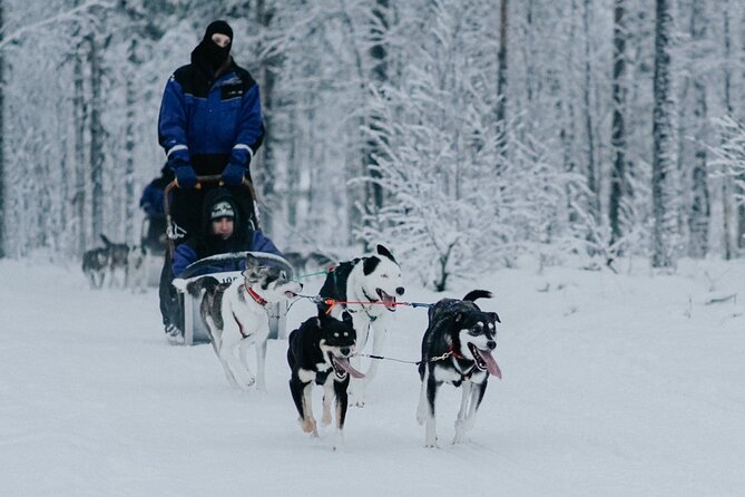 Family day: Reindeer, Husky and Snowmobiling in Levi - Soup in a smoky kota