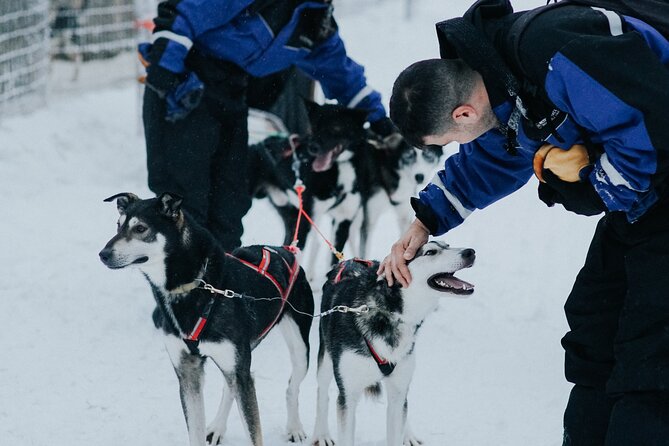 Family day: Reindeer, Husky and Snowmobiling in Levi - Group size, timing, and the cold-weather reality