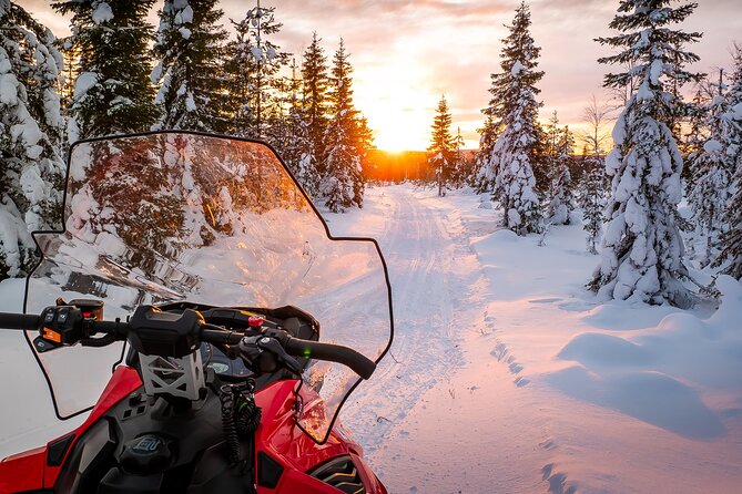 Family Snowmobile Safari in Rovaniemi - Why this family safari makes sense in Rovaniemi