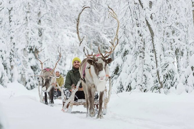 Forest Trail Reindeer Safari - The 2-kilometer sleigh ride through snowy woods