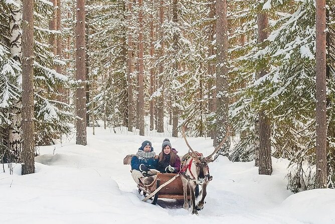 Forest Trail Reindeer Safari - Warm clothing, snacks, and practical comfort