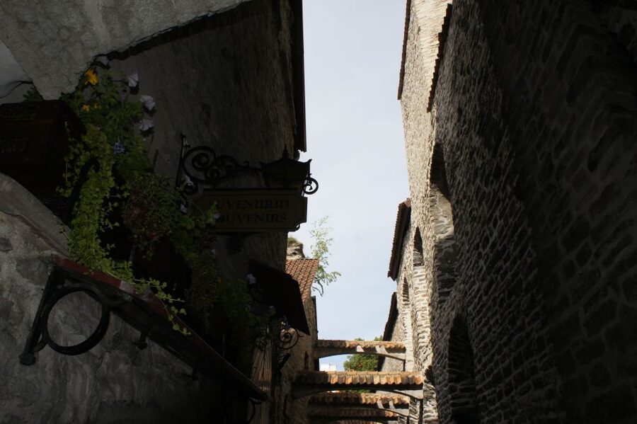 From Helsinki: Guided Day Trip to Tallinn by Ferry & VIP Car - Meeting your guide in Tallinn