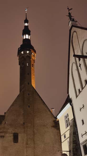From Helsinki: Guided Day Trip to Tallinn by Ferry & VIP Car - Free time for walking, shopping, and a meal