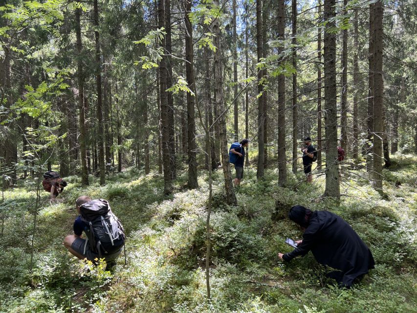 From Helsinki: Hike and Sauna in Sipoonkorpi National Park - Campfire lunch beside the forest