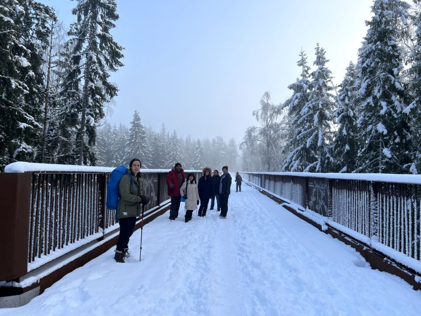 From Helsinki: Hike and Sauna in Sipoonkorpi National Park - Picking the right season