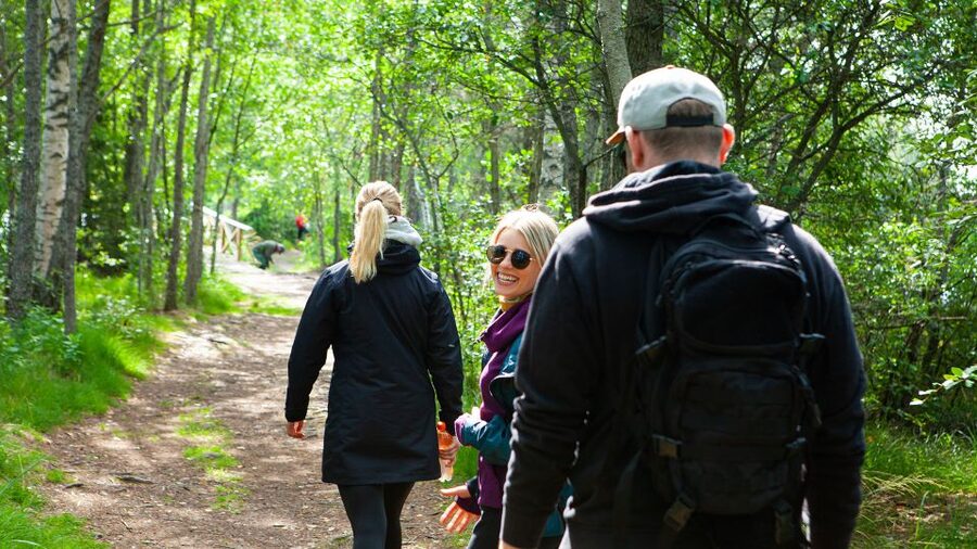 From Helsinki: Magical Taiga Hike in Liesjärvi National Park - Key points to know before booking