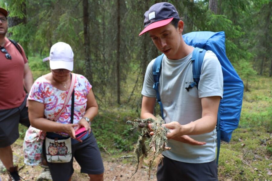 From Helsinki: Magical Taiga Hike in Liesjärvi National Park - The final hour back through the forest