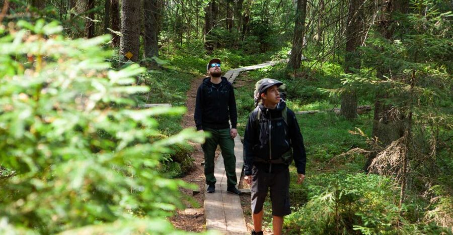 From Helsinki: Magical Taiga Hike in Liesjärvi National Park - Why the guide matters so much